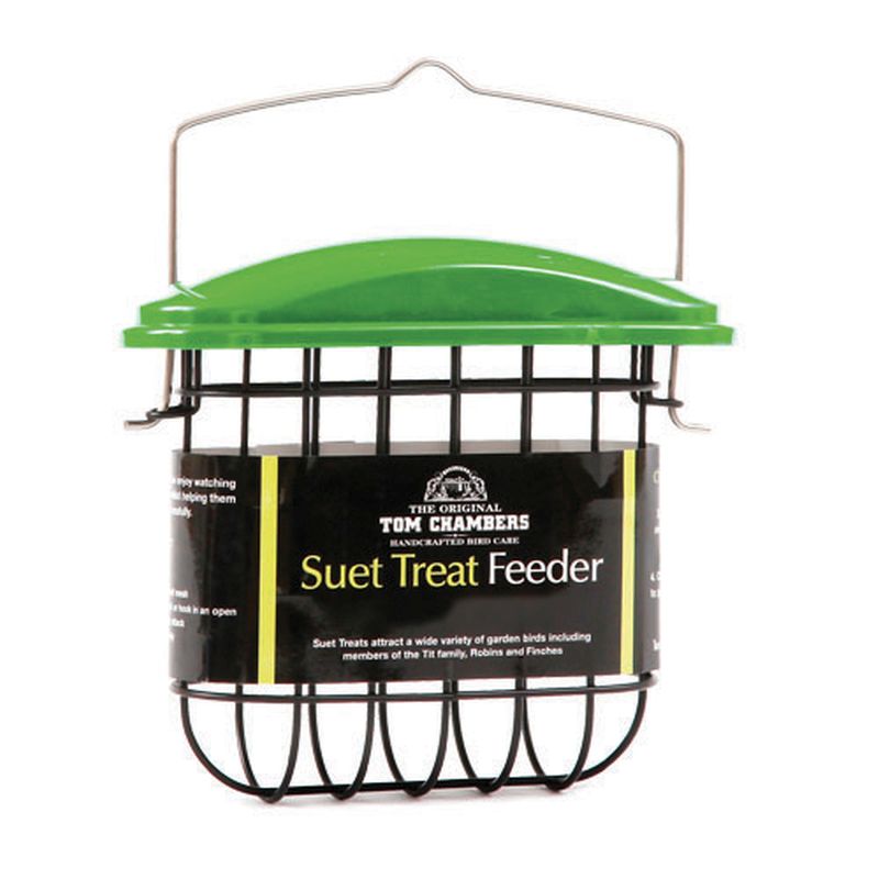 Suet Treat Feeder Bright Green