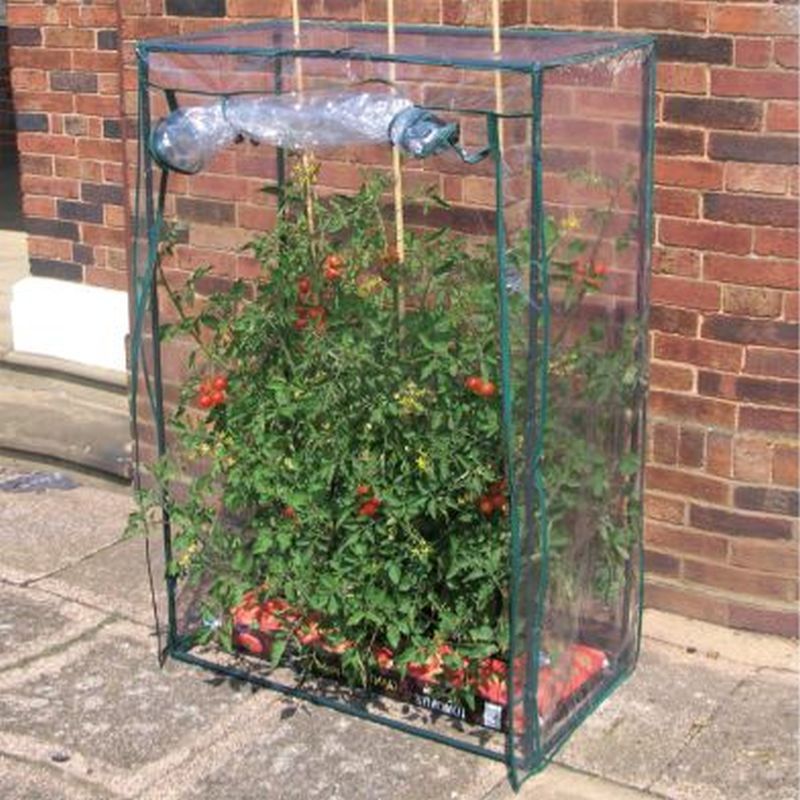 Tomato GrowBag Green House