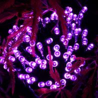 See more information about the 100 LED Solar Lights Purple