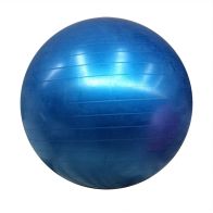 See more information about the Anti-Burst Gym Ball (65cm)