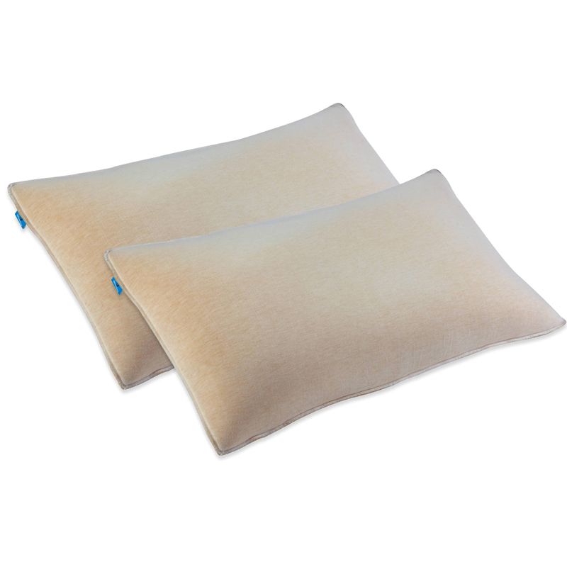 2pk Memory Foam Cirrus Pillow