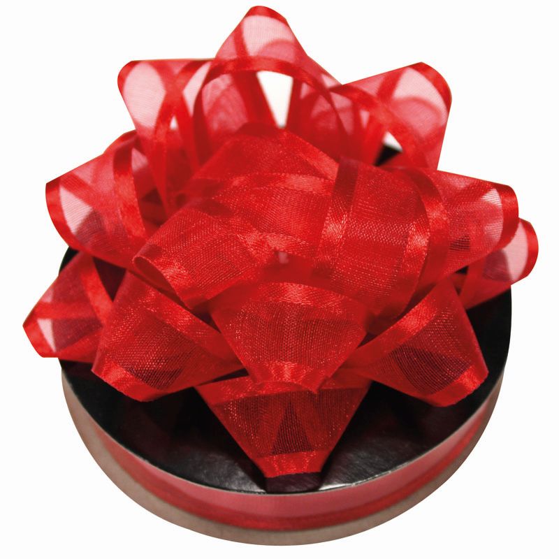 Organza Ribbon Red