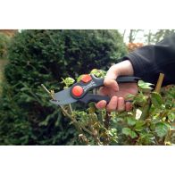 See more information about the Wilkinson Sword Bypass Pruner