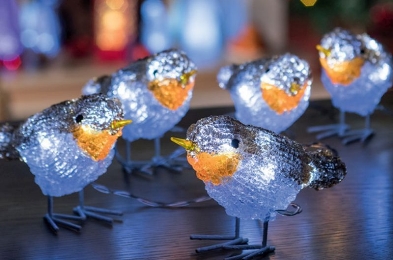 LED Ice White Outdoor Robin Decorative Light Set oF Five Mains 8.5cm