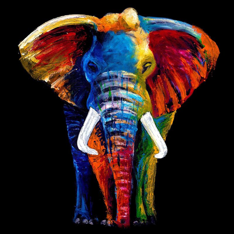 Glass Wall Art Majestic Elephant 100cm x 100cm