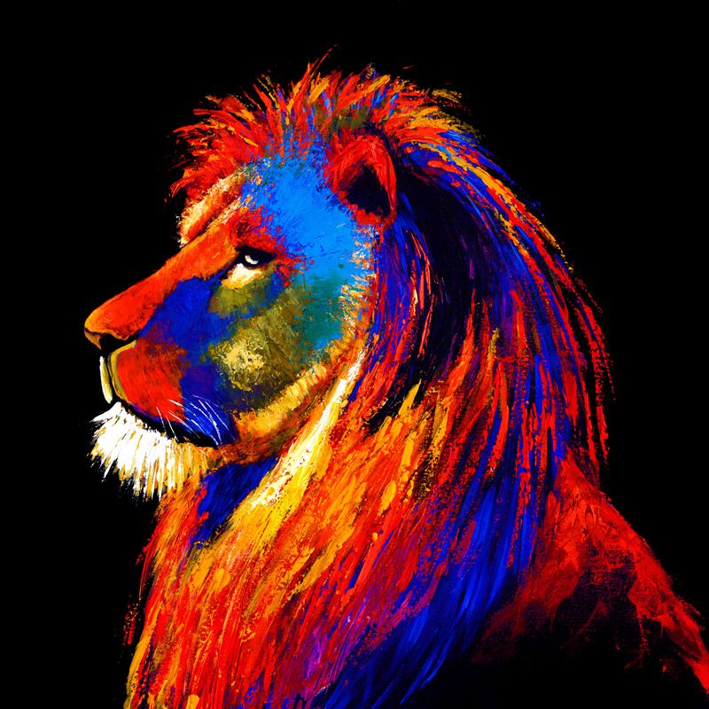 Glass Wall Art Majestic Lion 100cm x 100cm