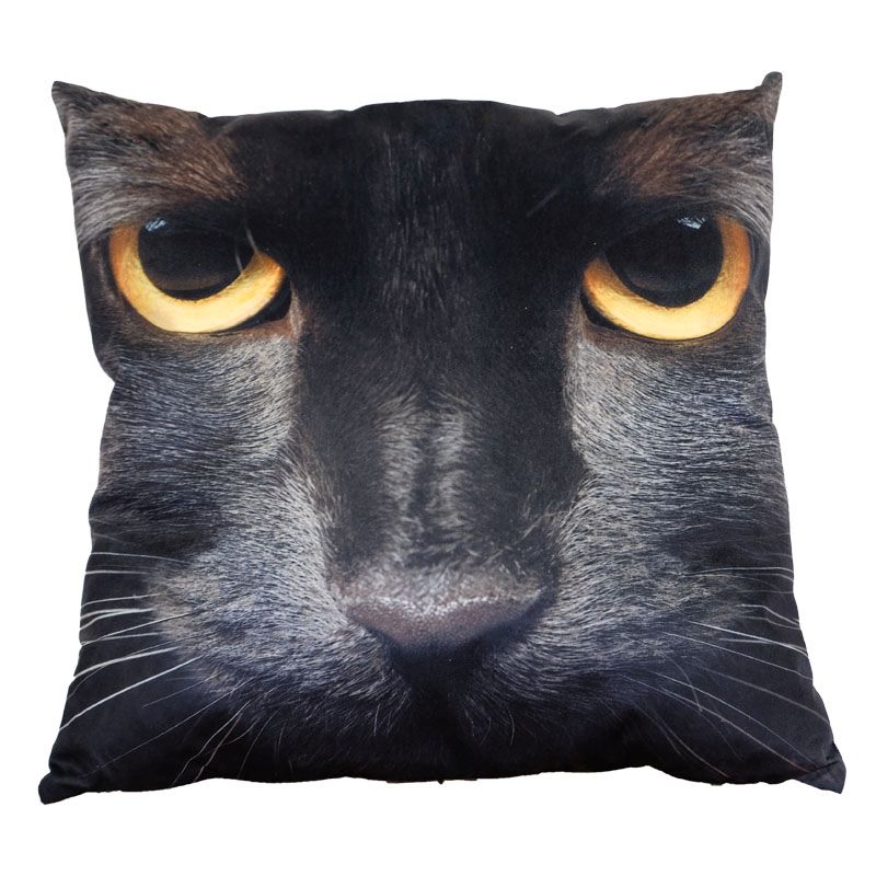 See more information about the Photographic Animal Cushion 70 x 70cm (Black Cat)