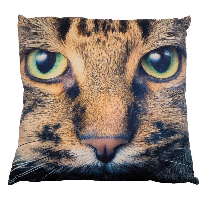 See more information about the Photographic Animal Cushion 70 x 70cm (Tabby Cat)