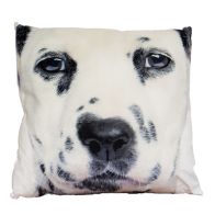 See more information about the Photographic Animal Cushion 45 x 45cm (Dalmatian)