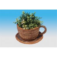 See more information about the Cup/Saucer Planter Medium