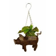 See more information about the Flying Pig Hanging Planter