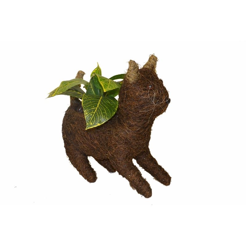 Cat Standing Planter