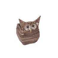 See more information about the Wise Owl Square Planter