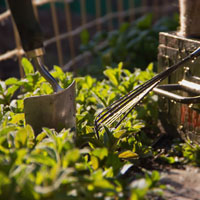 Garden Tools